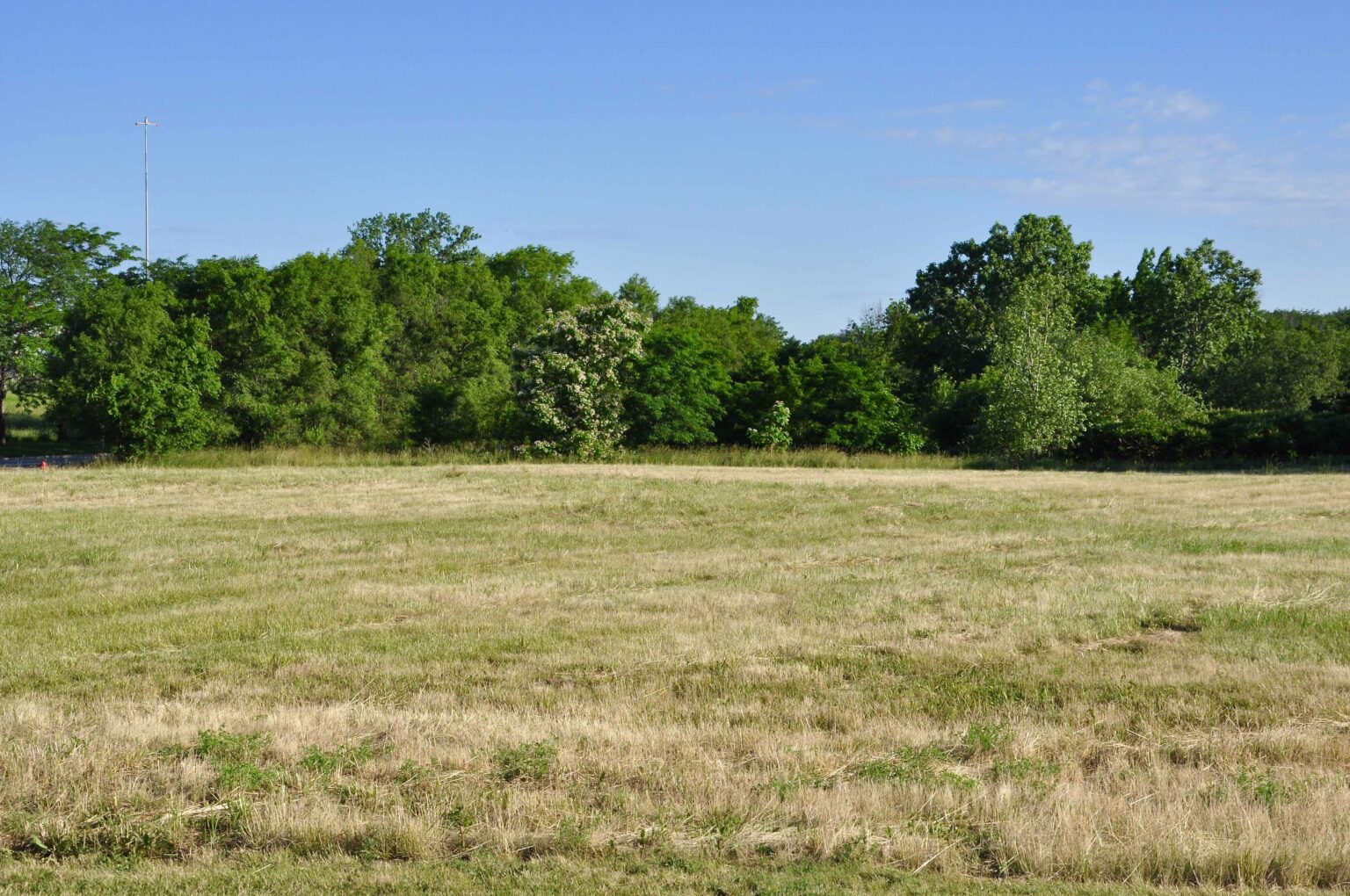 Open field with trees on the horizon